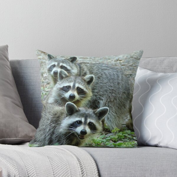 Item preview, Three Raccoon designed and sold by Jean Gregory Evans.