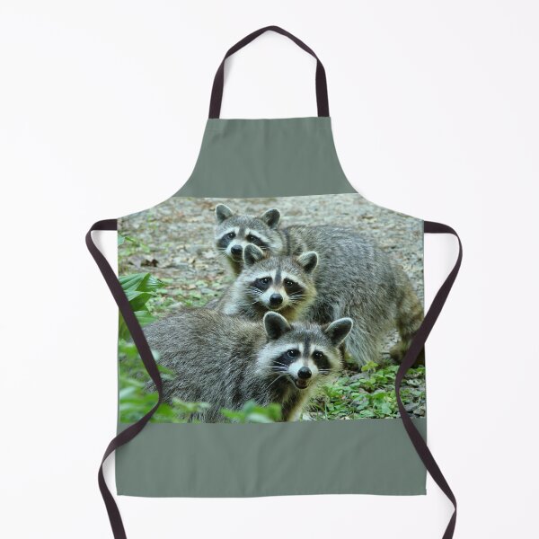 Item preview, Three Raccoon designed and sold by Jean Gregory Evans.