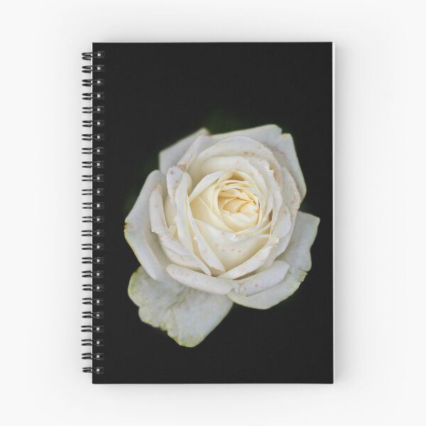 Item preview, White rose on black background designed and sold by olena2552.