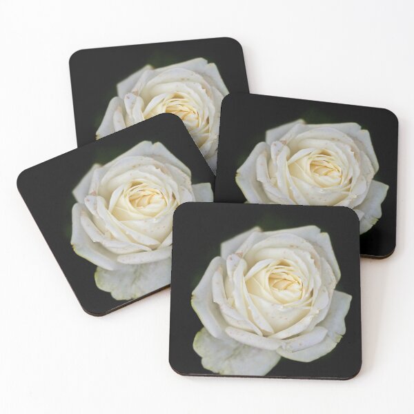 Item preview, White rose on black background designed and sold by olena2552.