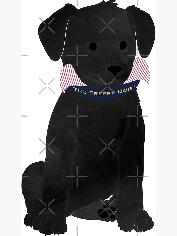 Preppy  Preppy dog, Really cute dogs, Cute puppies