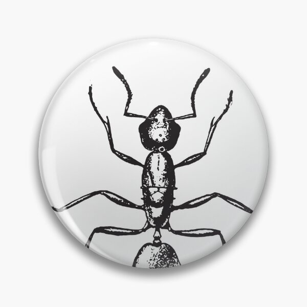 Item preview, Red Ant | Study of Insects | Entomology designed and sold by art-fox.