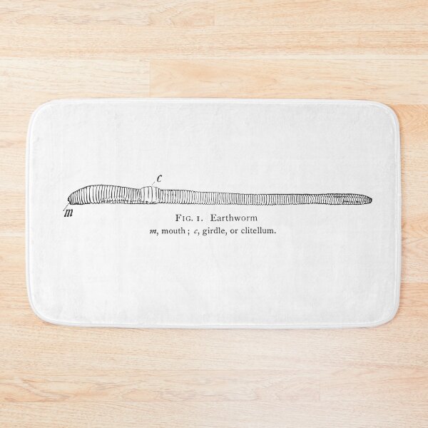 Item preview, Earthworm | Study of Insects | Entomology designed and sold by art-fox.