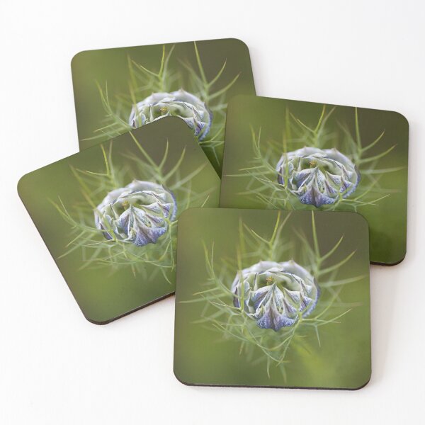 Item preview, Nigella Bud  designed and sold by Joy Watson - Natural Light Photography .