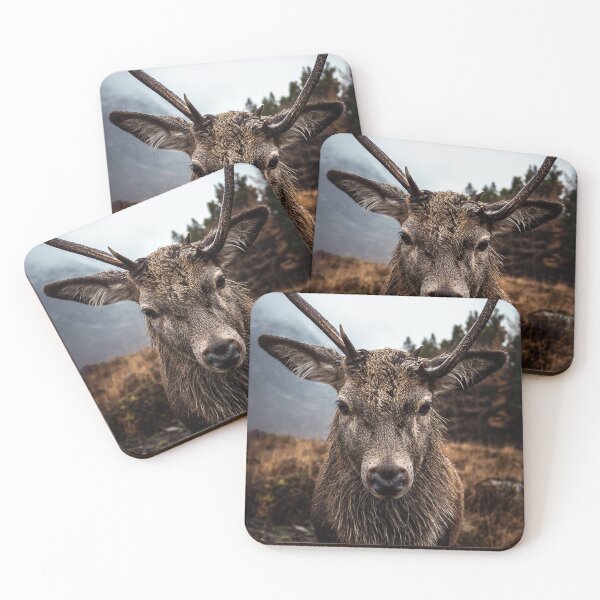 Artikelvorschau, Glencoe Stag entworfen und verkauft von AJPhotography90.