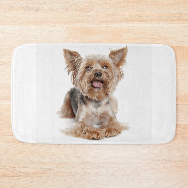 Item preview, Yorkshire Terrier dog pets dogs cute sweet designed and sold by Coolstuff4you71.