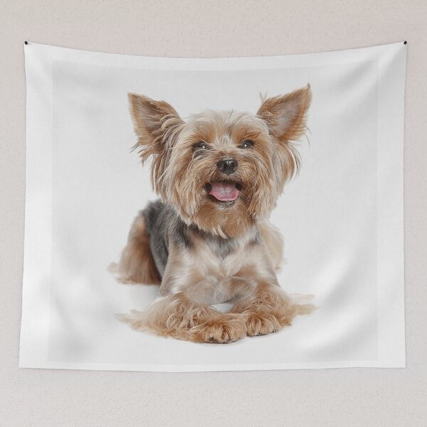 Item preview, Yorkshire Terrier dog pets dogs cute sweet designed and sold by Coolstuff4you71.