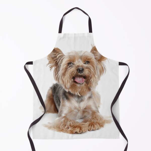 Item preview, Yorkshire Terrier dog pets dogs cute sweet designed and sold by Coolstuff4you71.