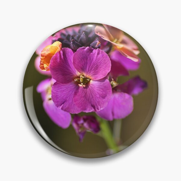 Item preview, Wallflower Bloom Palette designed and sold by Joy Watson - Natural Light Photography .