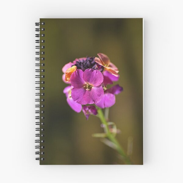 Item preview, Wallflower Bloom Palette designed and sold by Joy Watson - Natural Light Photography .