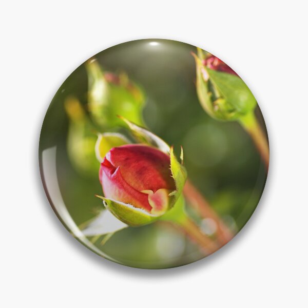 Item preview, Rose Buds In Red  designed and sold by Joy Watson - Natural Light Photography .