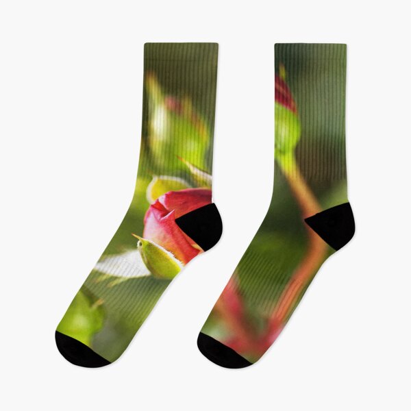 Item preview, Rose Buds In Red  designed and sold by Joy Watson - Natural Light Photography .