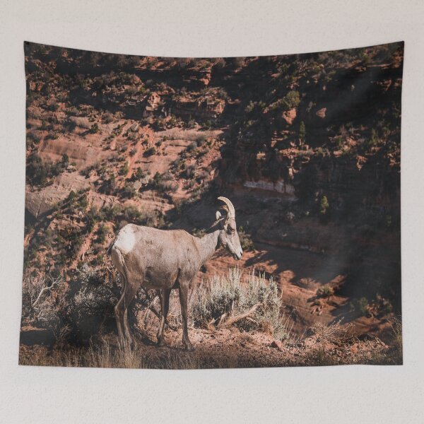 Item preview, Desert Bighorn Sheep designed and sold by JLPhotographer.