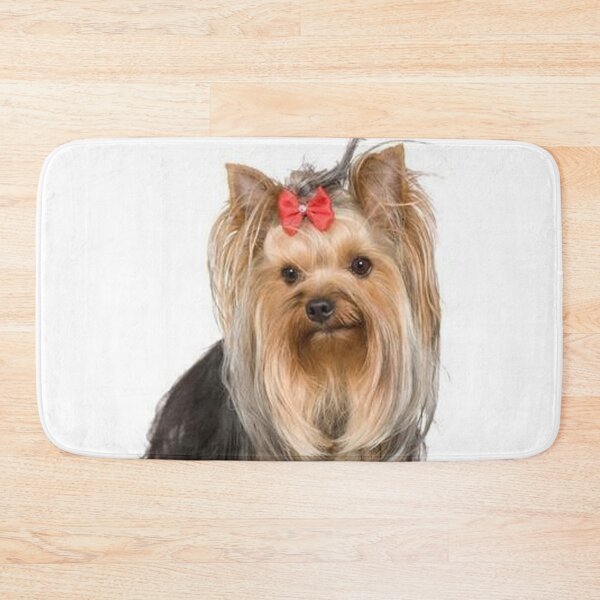 Item preview, Yorkshire Terrier dog pets dogs cute sweet designed and sold by Coolstuff4you71.