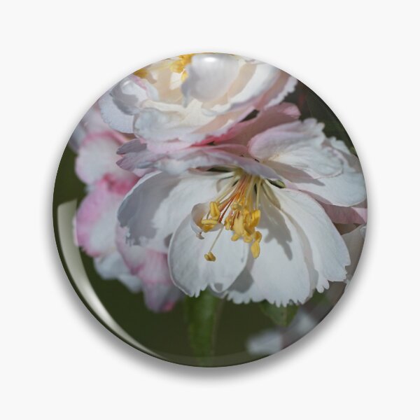 Item preview, Crabapple Flowers Of Spring designed and sold by Joy Watson - Natural Light Photography .