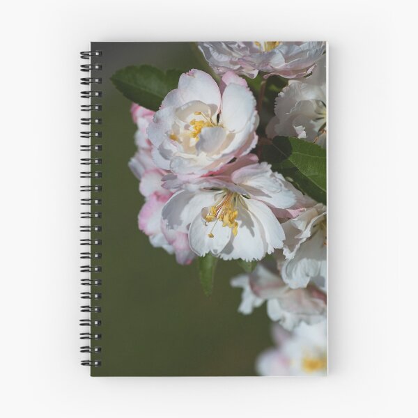 Item preview, Crabapple Flowers Of Spring designed and sold by Joy Watson - Natural Light Photography .