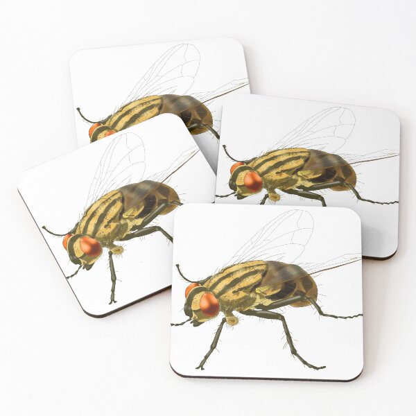 Item preview, House Fly, Insect designed and sold by ScienceSource.