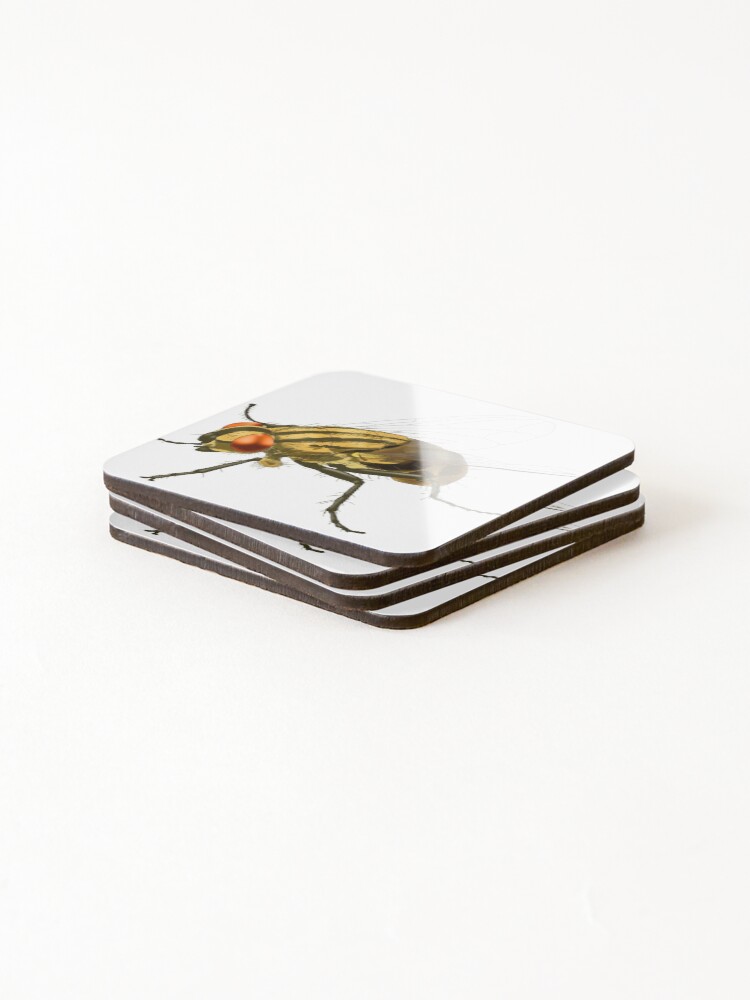 Thumbnail 4 of 5, Coasters (Set of 4), House Fly, Insect designed and sold by ScienceSource.