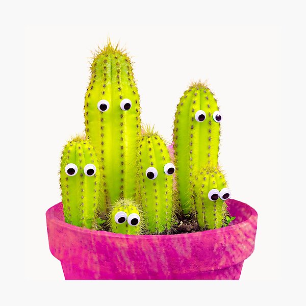 Item preview, Cactus family in a plantpot with eyes designed and sold by GaryDobson.