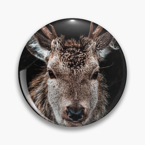 Item preview, Here's Lookin' at You Kid designed and sold by AJPhotography90.
