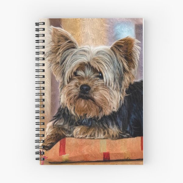 Item preview, Yorkshire Terrier dog pets dogs cute sweet designed and sold by Coolstuff4you71.