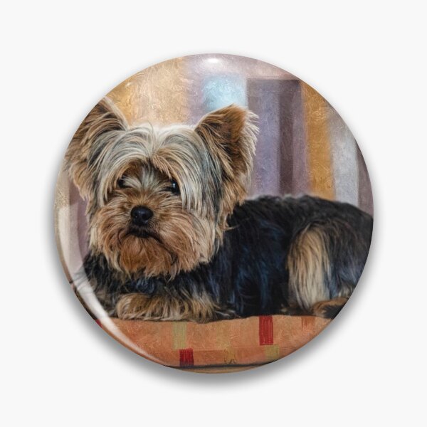 Item preview, Yorkshire Terrier dog pets dogs cute sweet designed and sold by Coolstuff4you71.