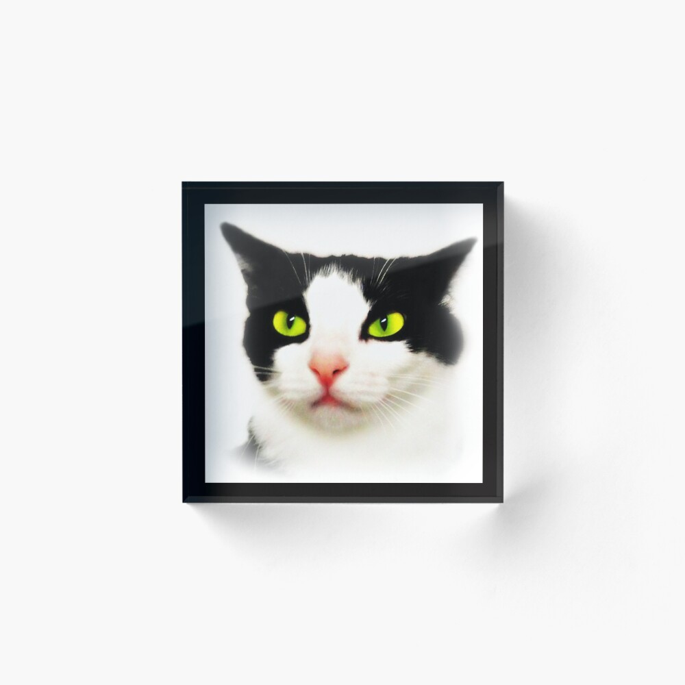 Item preview, Acrylic Block designed and sold by stormchaser7.