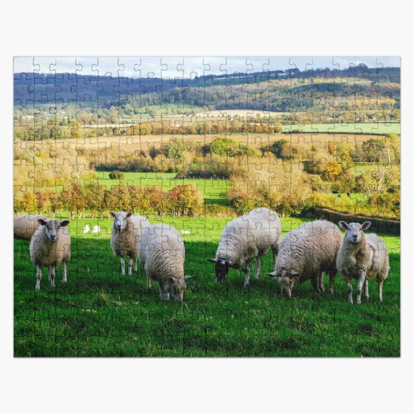 Sheep in the Cotswolds Jigsaw Puzzle