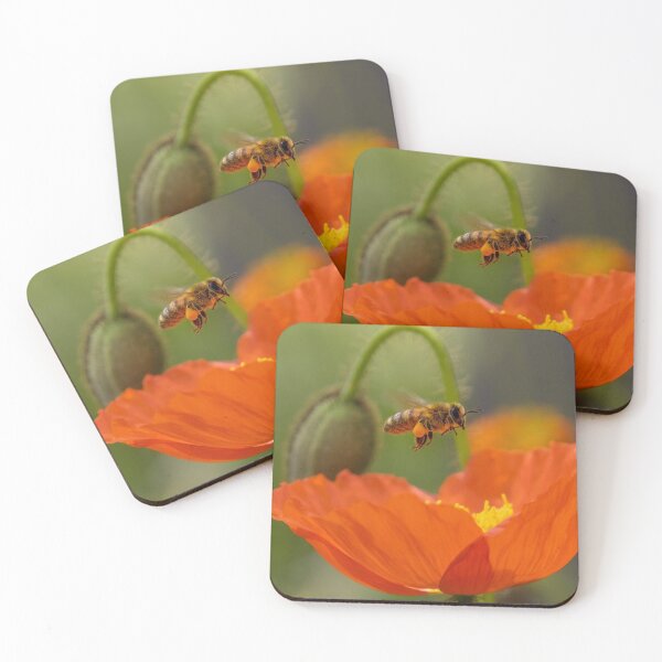 Item preview, Pollinating designed and sold by Luke Foster.
