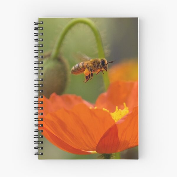 Item preview, Pollinating designed and sold by Luke Foster.