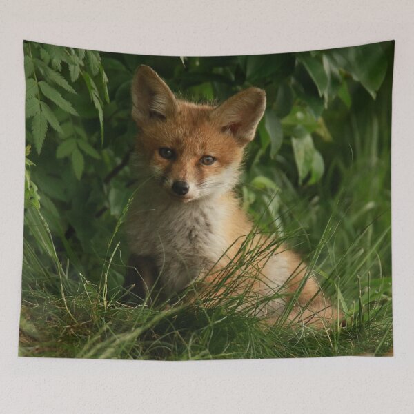 Item preview, I Just really like foxes ok - Fox Cub Photograph Born Covid 2020 designed and sold by Rcasadesign.