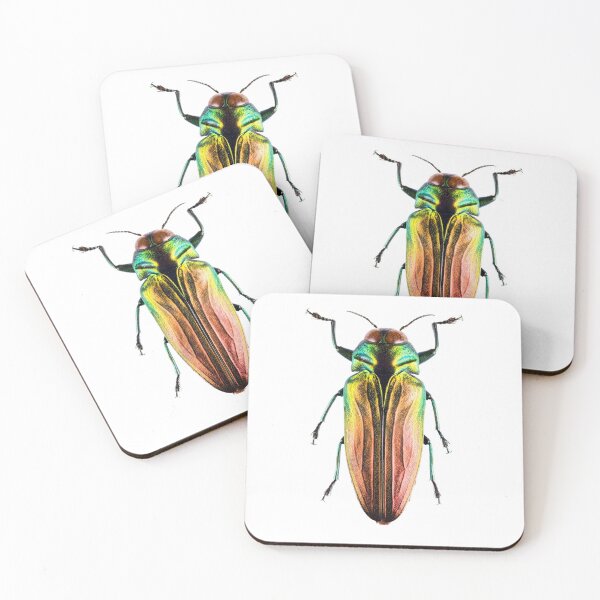 Item preview, Tricolor Metallic Jewel Beetle (Belionota sumptuosa) designed and sold by Tim Christensen.