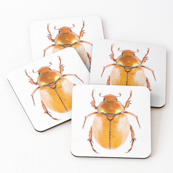 Item preview, Goldsmith beetle (Cotalpa lanigera) designed and sold by Tim Christensen.