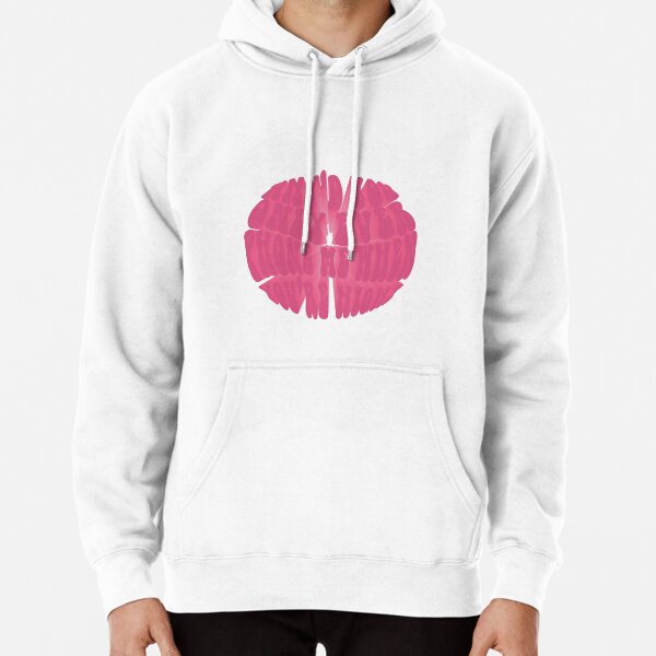 Miley cyrus pink on sale hoodie