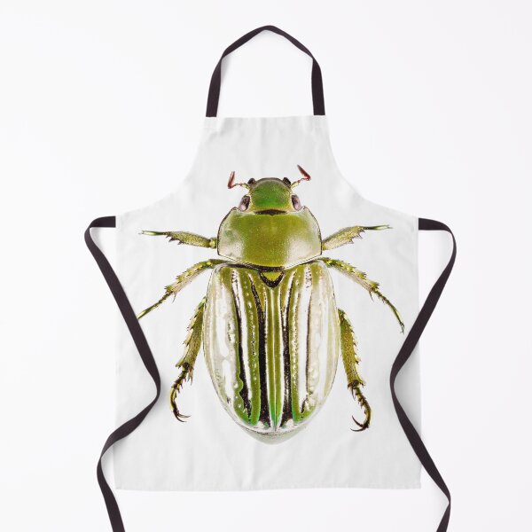 Item preview, Glorious Beetle (Chrysina gloriosa) designed and sold by Tim Christensen.