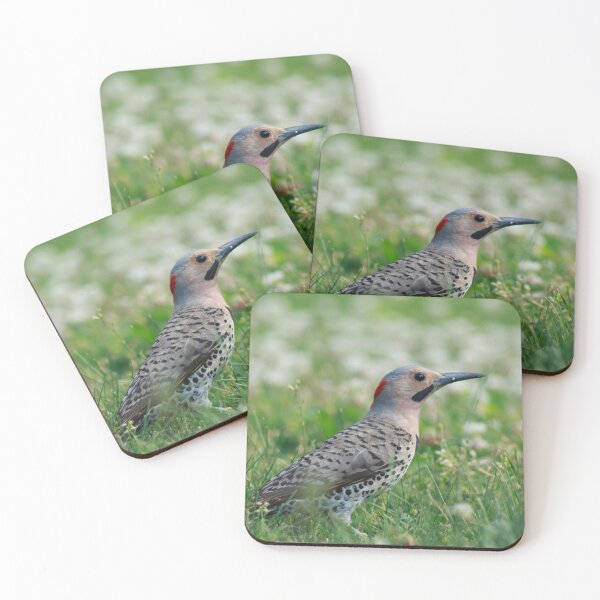 Item preview, A Northern Flicker designed and sold by alexandracpinto.