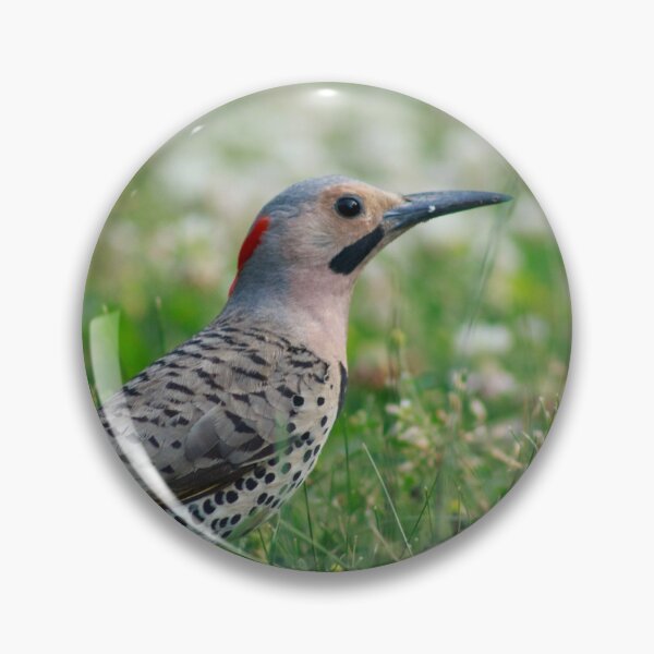 Item preview, A Northern Flicker designed and sold by alexandracpinto.
