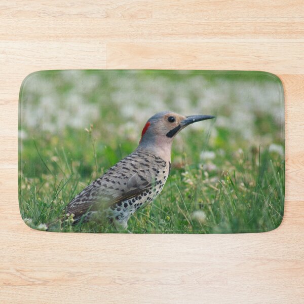 Item preview, A Northern Flicker designed and sold by alexandracpinto.