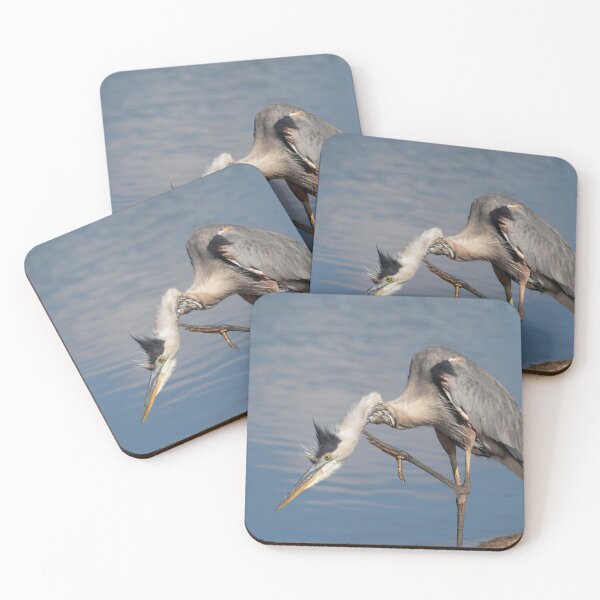 Item preview, Great Blue Heron scratching its neck designed and sold by Zina Stromberg.