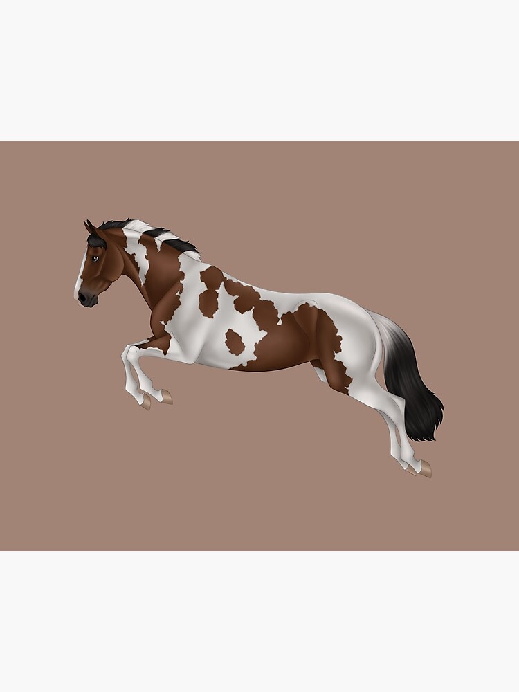 Tobiano Paint Guide CV By TheEndlessHourglass On DeviantArt
