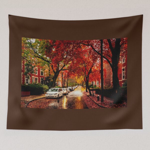Item preview, Rainy Fall in Massachusetts  designed and sold by LudaNayvelt.