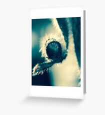 Blue Ray Greeting Card