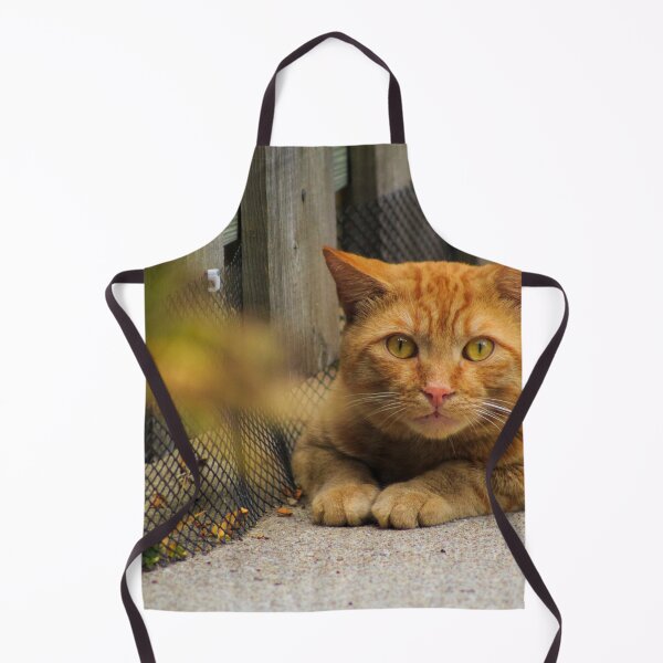 Item preview, Orange Tabby designed and sold by alexandracpinto.