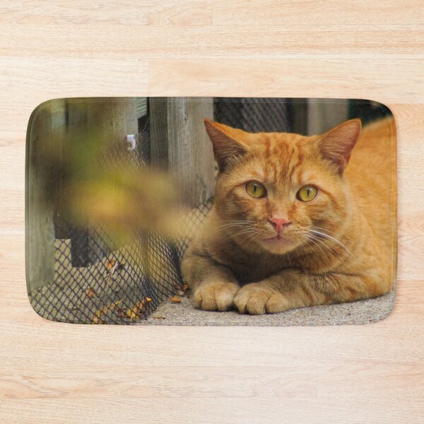 Item preview, Orange Tabby designed and sold by alexandracpinto.