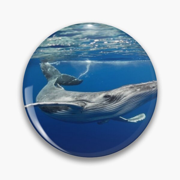 Item preview, Calf, whale, sea, designed and sold by RenatoGuzman.
