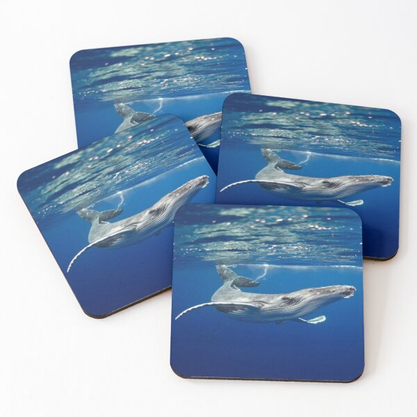 Item preview, Calf, whale, sea, designed and sold by RenatoGuzman.