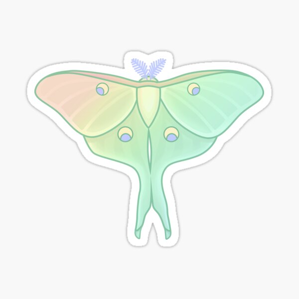 Mystical moth vinyl sticker – Jenny V Stickers