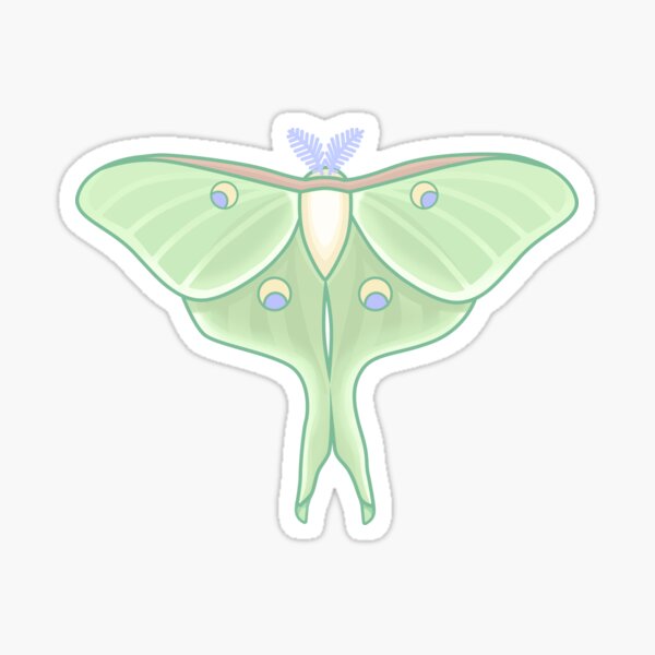 Small Moth Stickers