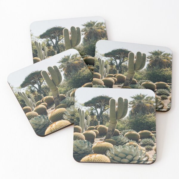 Item preview, Catus, melocatus, biznaga, cholla, date designed and sold by RenatoGuzman.