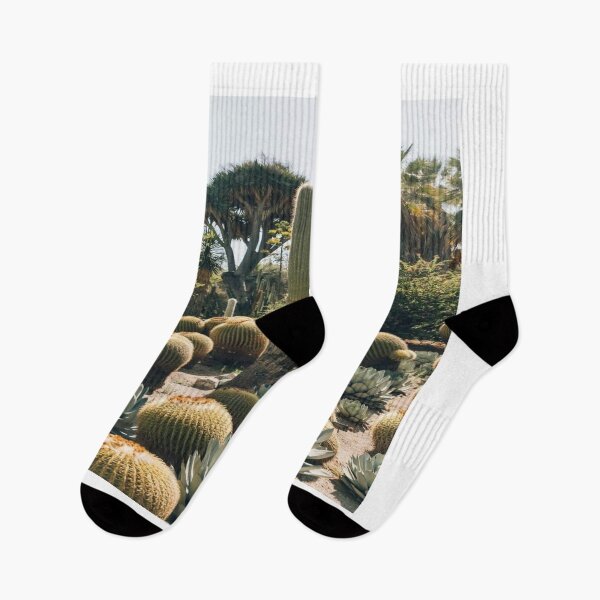 Item preview, Catus, melocatus, biznaga, cholla, date designed and sold by RenatoGuzman.